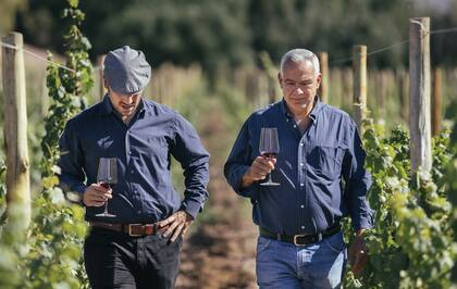 Daniel Manzur padre e hijo recorren los viñedos de Maimará.