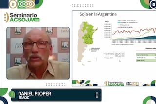 Soja: qué pasa con el manejo en las distintas zonas de producción
