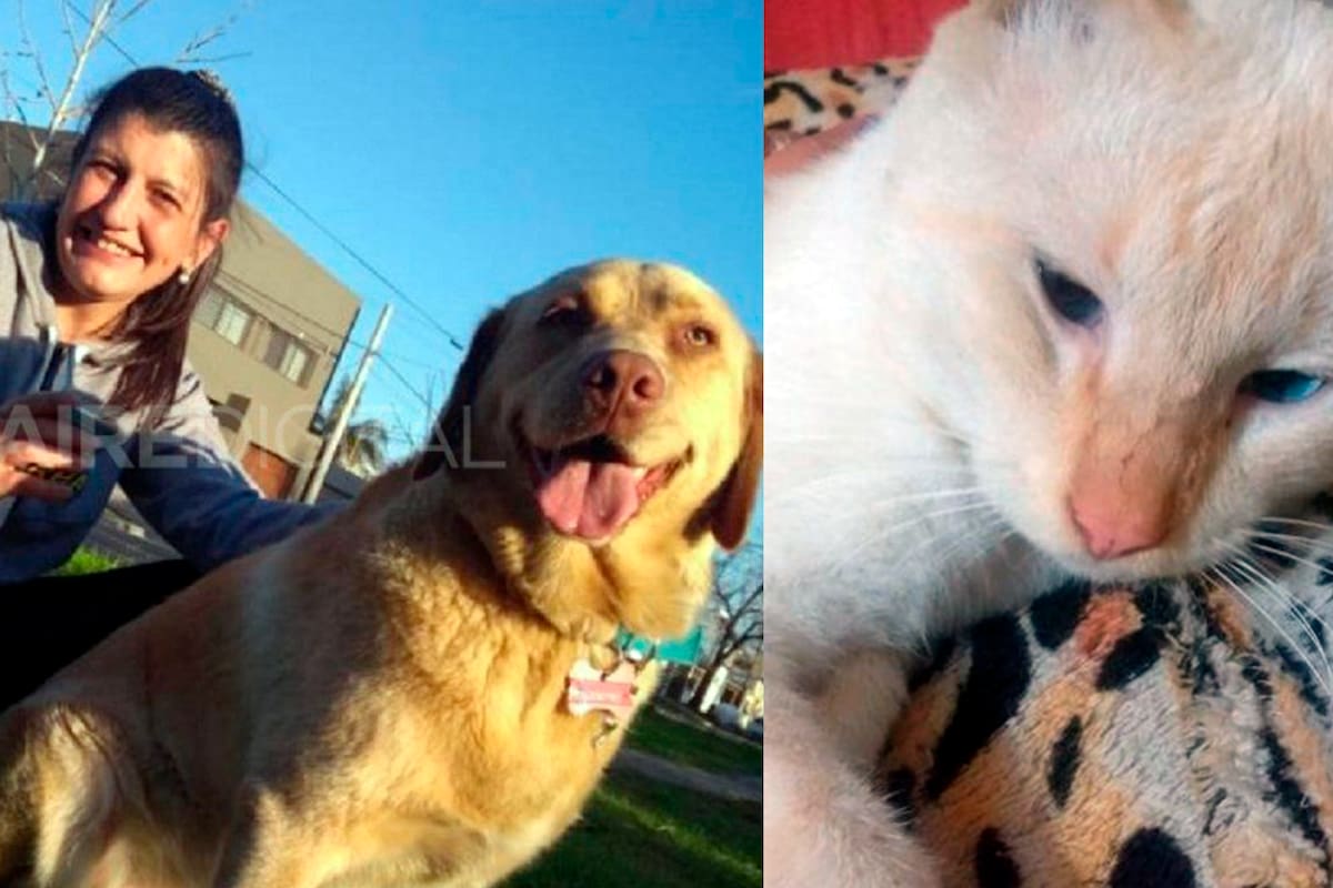 Daniela junto a su perra y gato que murieron luego de ingerir carne con vidrio