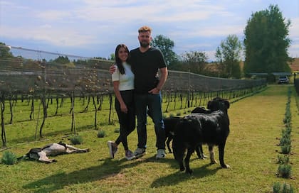 Daniela, Milenko y los guardianes de la bodega, con matas de lavanda que comienza a crecer al pie de los viñedos