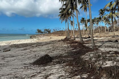 Daños provocados por el tsunami en la isla de Tongatapu, Tonga