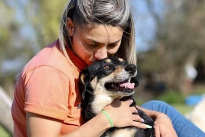 "Danos una pata" es un evento solidario para ayudar a El Campito, un refugio que rescata perros en condición de vulnerables