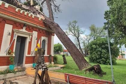 Daños y árboles caídos en Carlos Casares como consecuencia de una fuerte tormenta