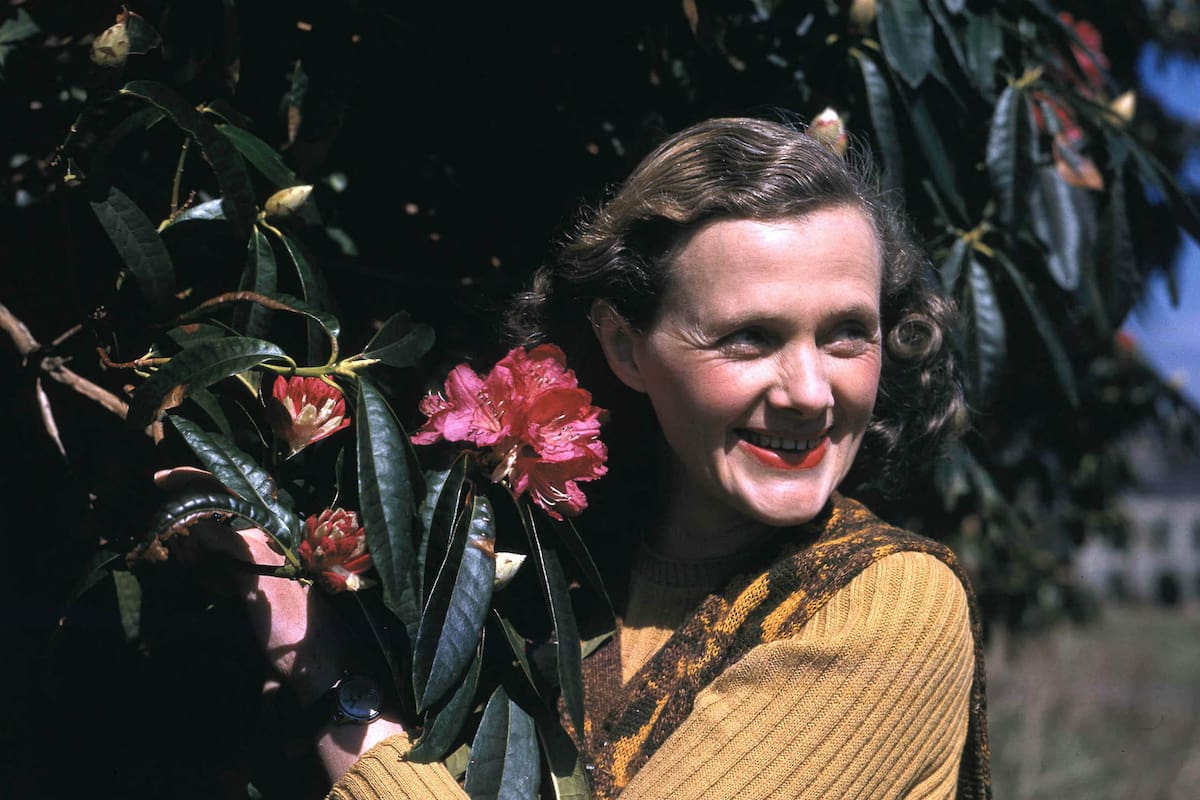 Daphne du Maurier