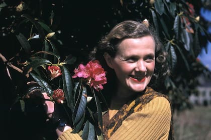 Daphne du Maurier