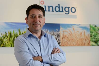 Darío Maffei, de Índigo