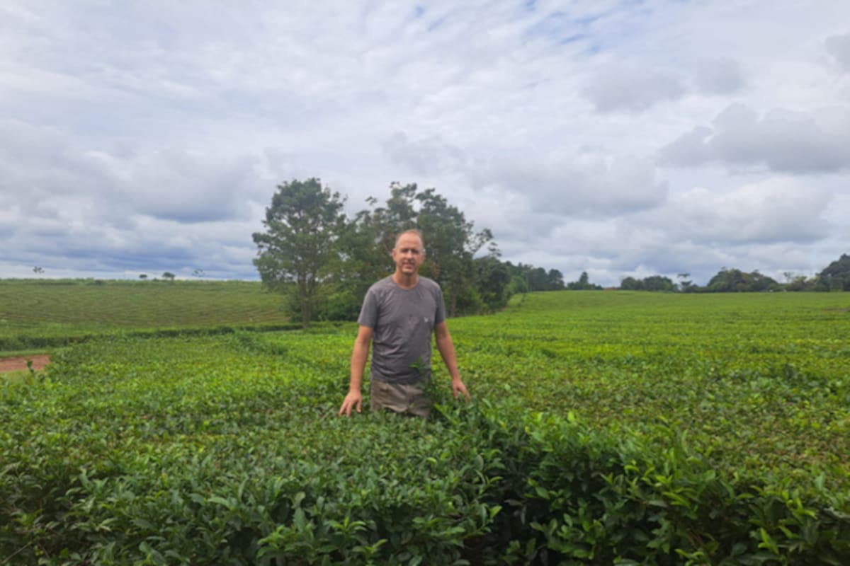Darío Schauer es productor tealero de Misiones