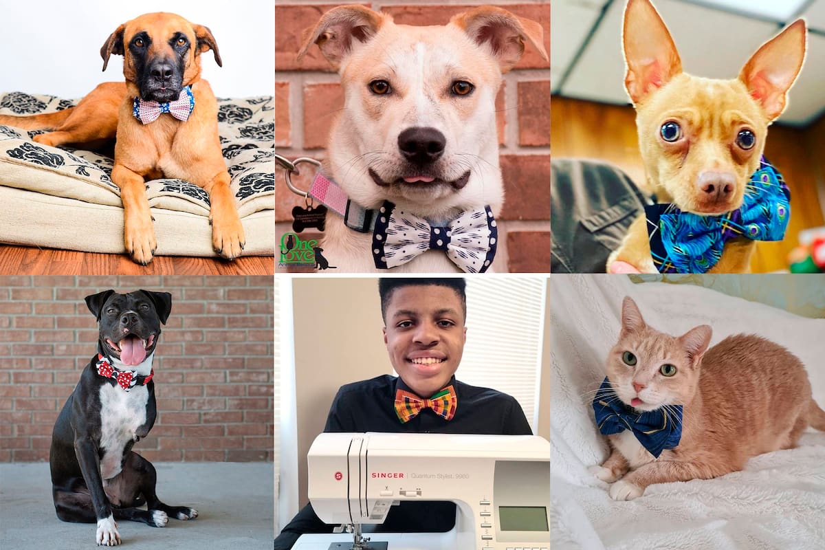 Darius Brown comenzó con su emprendimiento después del paso del huracán Irma por el estado de Florida y Puerto Rico.