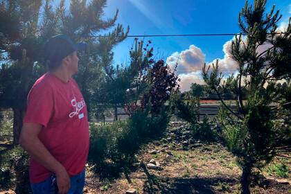 Darren King mira el humo que se alza sobre los árboles el domingo 12 de junio de 2022 a las afueras de Flagstaff, Arizona. Las autoridades evacuaron el domingo partes del norte de Arizona mientras crecía un incendio unos 9 kilómetros (6 millas) al norte de Flagstaff. (AP Foto/Felicia Fonseca)