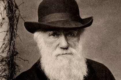 Darwin revolucionó la biología con su teoría de la evolución