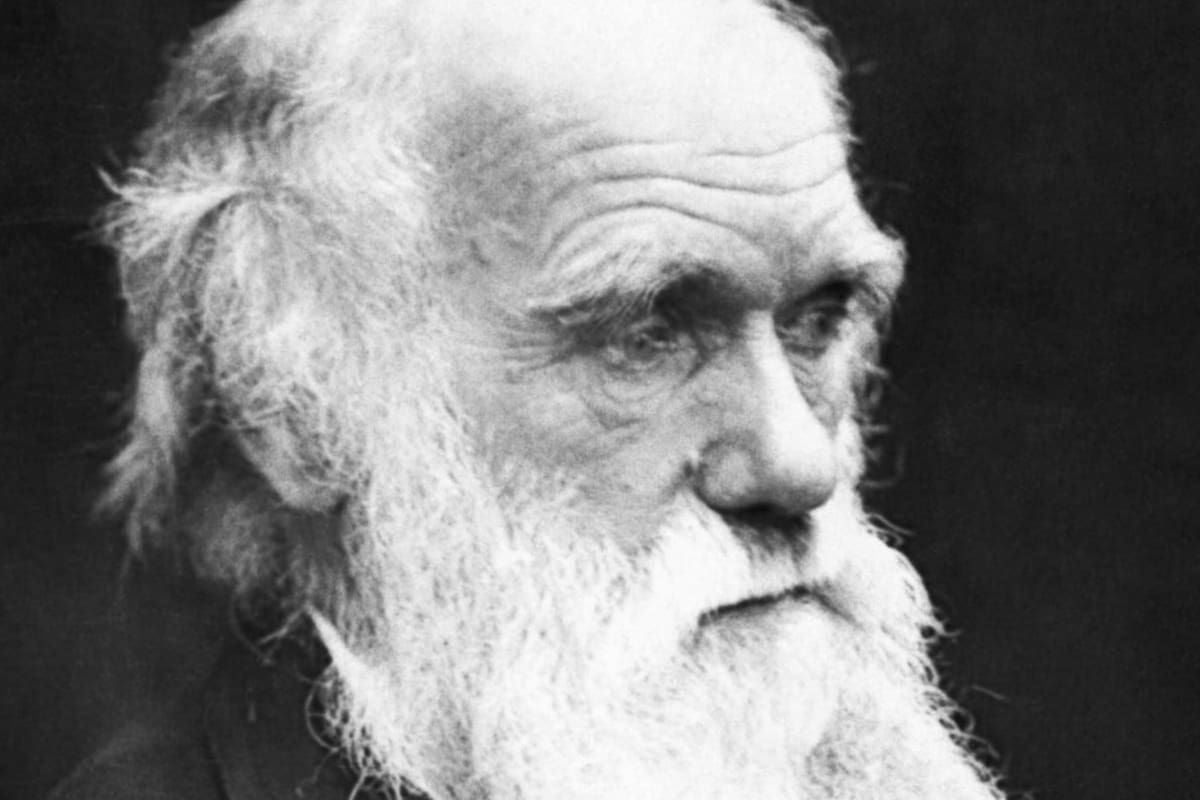Darwin se adelantó a su tiempo con sus teorías sobre la vida y la evolución
