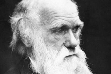 Darwin se adelantó a su tiempo con sus teorías sobre la vida y la evolución