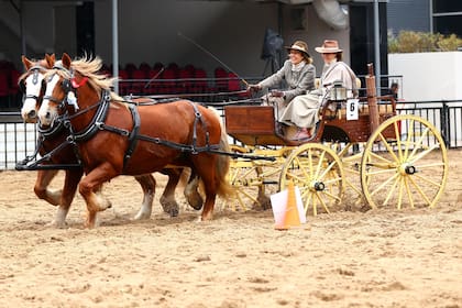 Dasso participa de competencias como en la Rural
