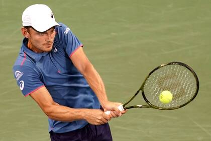 David Goffin