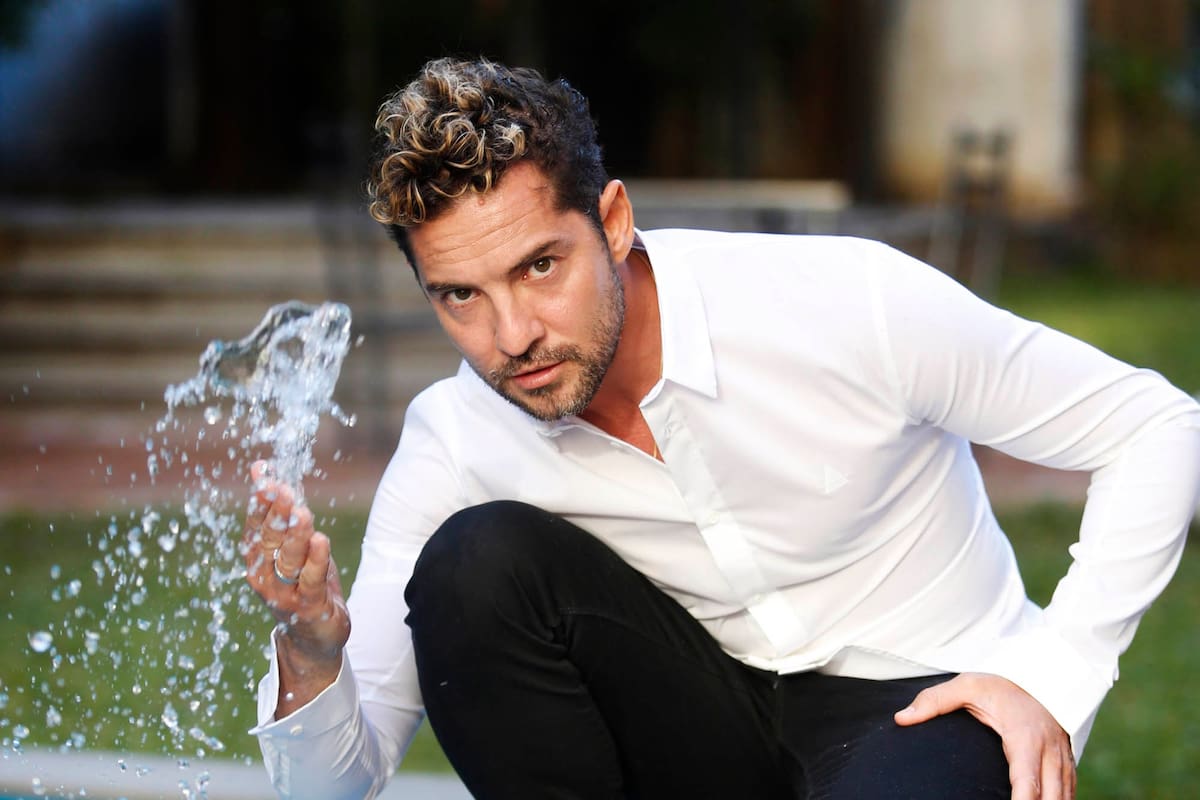 David Bisbal