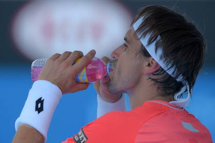David Ferrer continúa su camino tras superar al calor