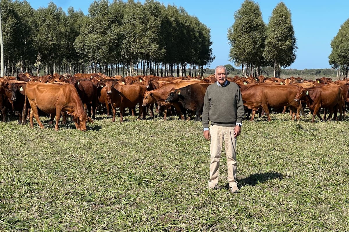 David Lacroze: "Con el aprovechamiento intensivo del forraje duplicamos la carga animal del campo en los últimos años; es como tener dos empresas”