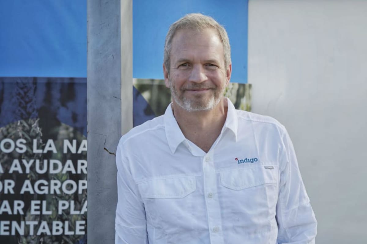 David Perry, fundador de la firma Indigo, que busca