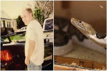 Encuentran muerto en su casa a un hombre que tenía 124 serpientes - LA ...