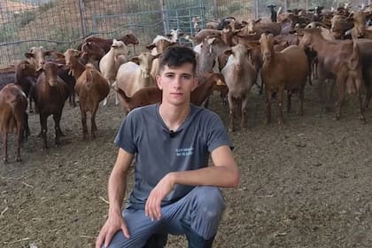 David Tomé González: "Compré mi primera cabra cuando tenía apenas 12 años y hoy ya estoy en pleno proceso de profesionalizar mi propia ganadería"