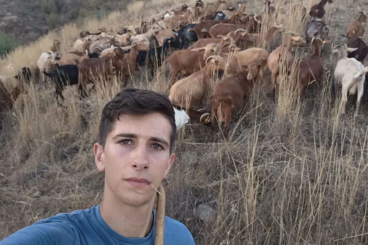 David Tomé González inició su ganadería sin tradición familiar en el campo