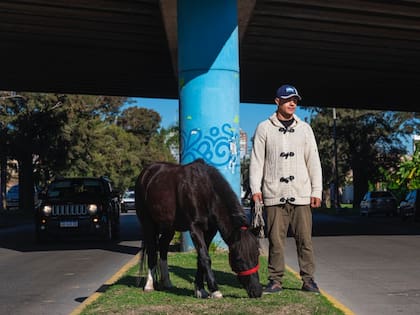 David y Estrella