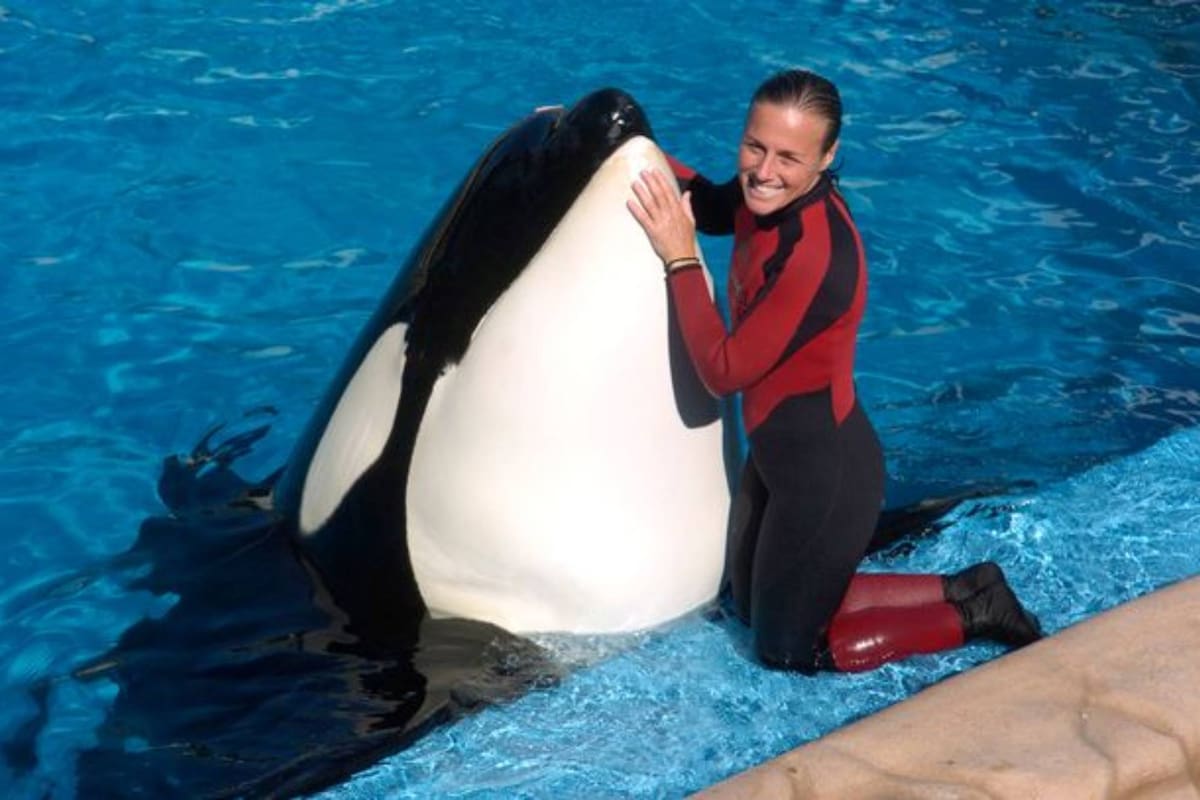 Dawn Brancheau soñó desde pequeña con convertirse en una entrenadora de orcas