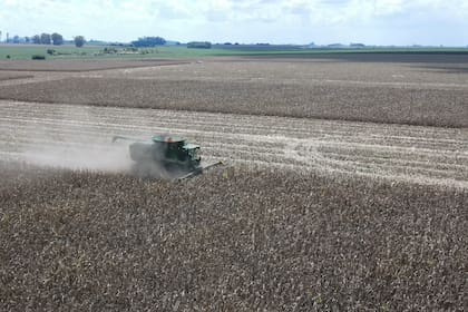 De 11,6 millones de toneladas el 52% correspondió al complejo sojero, el 36% al maíz y el 7% al trigo