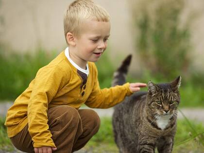 De acuerdo a un estudio, los niños que crecen con gatos tienen menos predisposición a tener alergia y asma