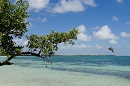 De acuerdo al signo, se pueden elegir entre diversos destinos turísticos que coinciden con características personales
