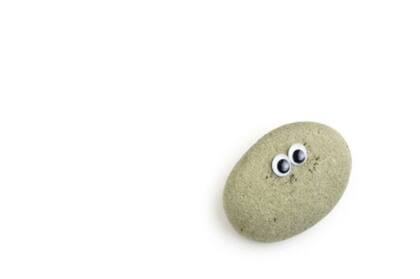 De acuerdo con el manual, las Pet Rocks eran "fáciles de entrenar" y aprendían rápidamente a "sentarse", "quedarse" y "hacerse el muerto"