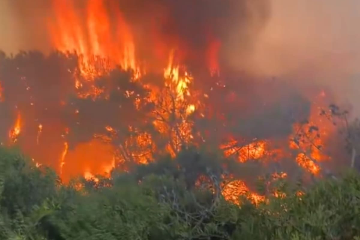 De acuerdo con las primeras versiones, el fuego habría sido provocado de forma intencional
