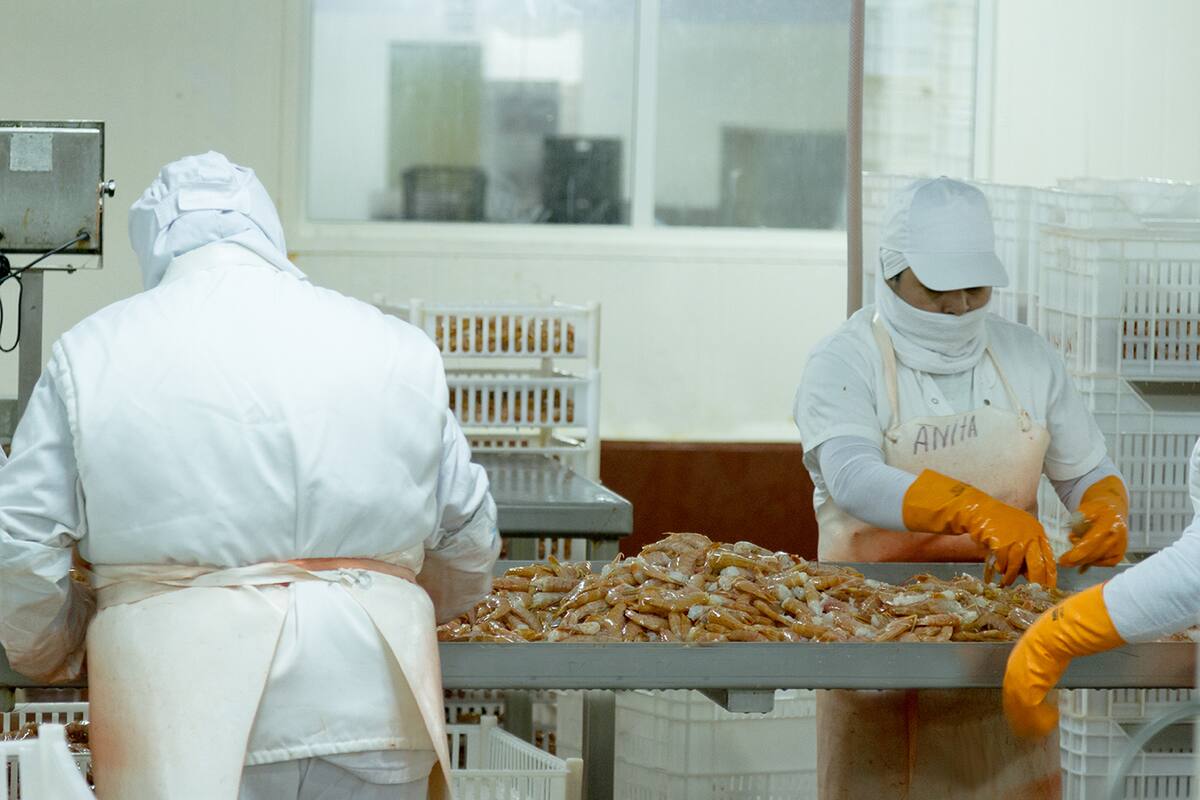 De acuerdo con los datos de la industria, en promedio el impacto fiscal si se bajan las retenciones es de 120 millones de dólares