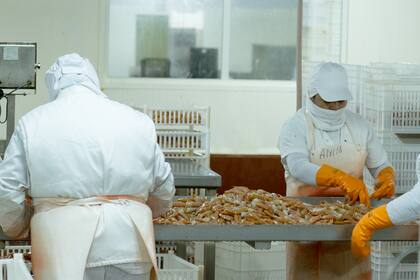 De acuerdo con los datos de la industria, en promedio el impacto fiscal si se bajan las retenciones es de 120 millones de dólares