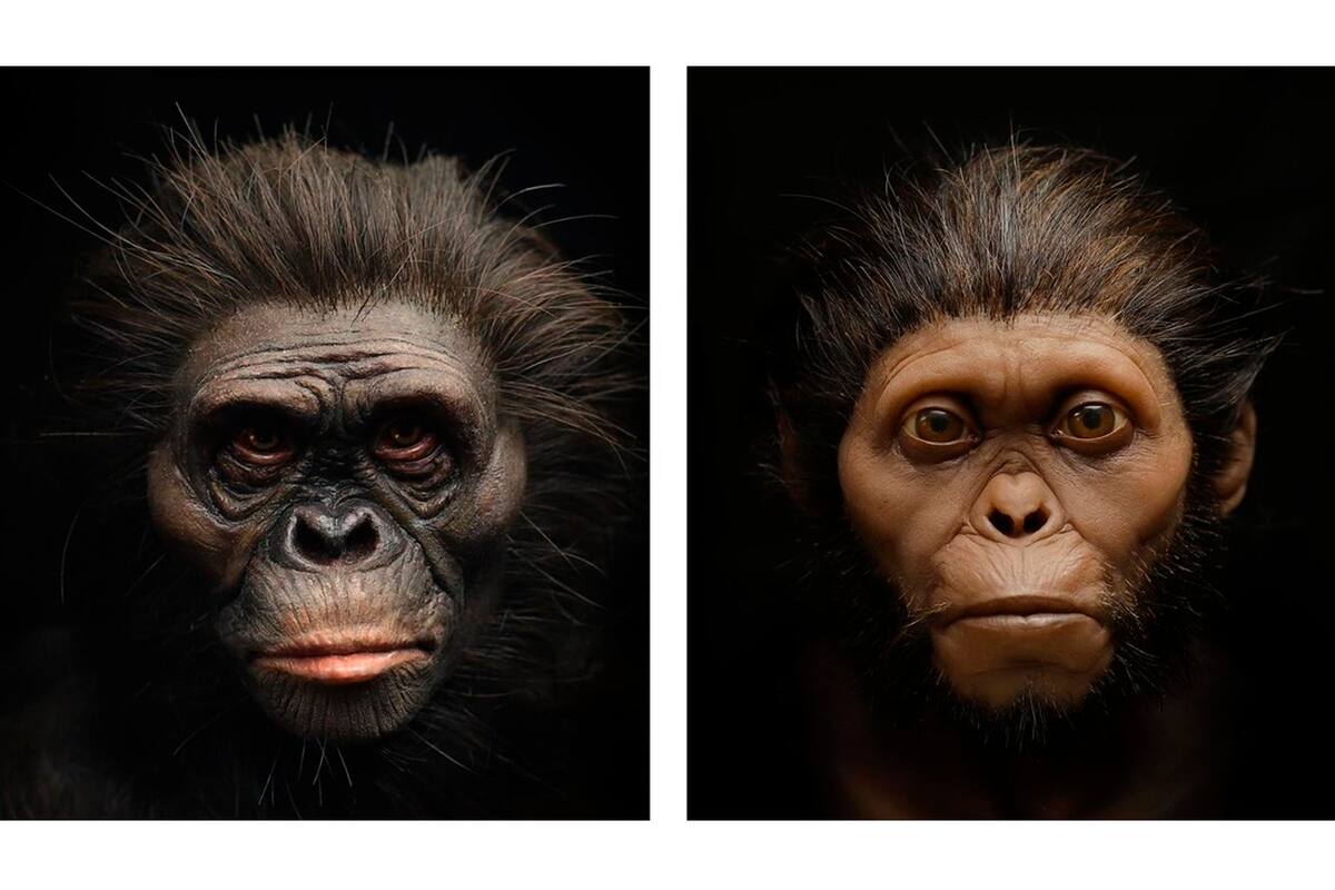 De acuerdo con los expertos, los trabajos de los museos difieren de la realidad por variaciones artísticas que carecen de precisión científica. Cómo es el método con moldes de silicona