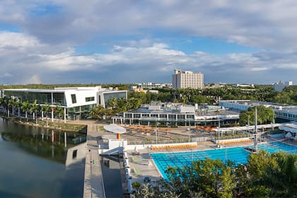 De acuerdo con un medio de Miami, Bergwall era estudiante de tercer año en la Universidad de Miami y cursaba una licenciatura en informática