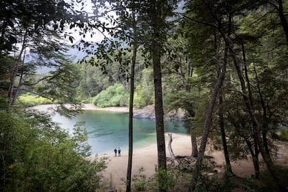 De aguas cristalinas y color esmeralda, el río Manso atraviesa bosques andino-patagónicos rumbo a Chile.