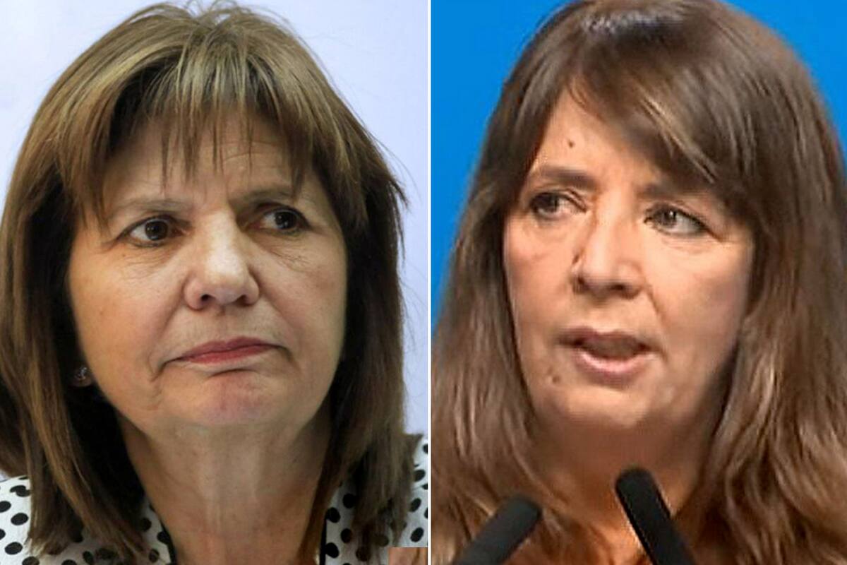 De Bullrich a Cerruti: la política reacciona a la suba del dólar
