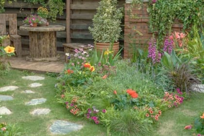 De colegas a enemigas: la desaloja tras meses de abandono del jardín en la vivienda que le alquiló