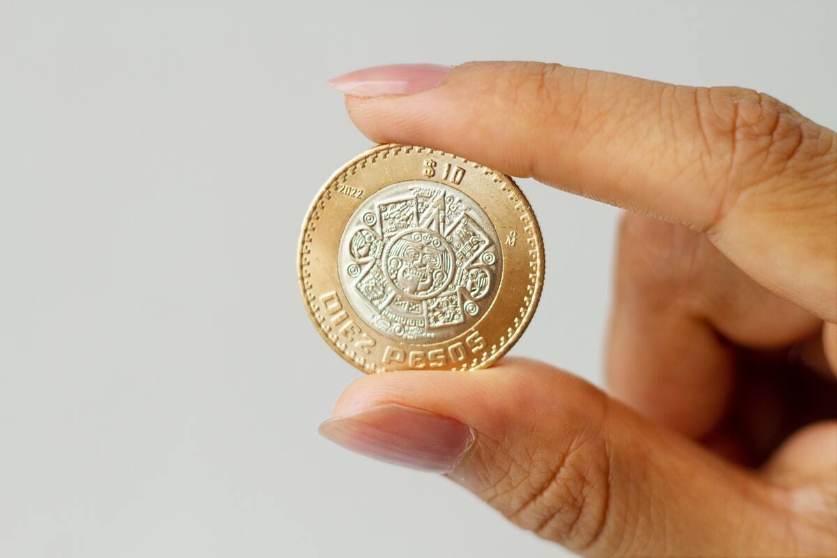 De dólar a peso mexicano, así cotiza la divisa estadounidense hoy 14 de enero de 2025