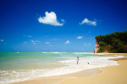 De Florianópolis a Camboriú, una selección de islas y bahías con muchos metros de arena reparados del viento, bares de ostras, en rincones perfectos para remar y explorar el fondo del mar