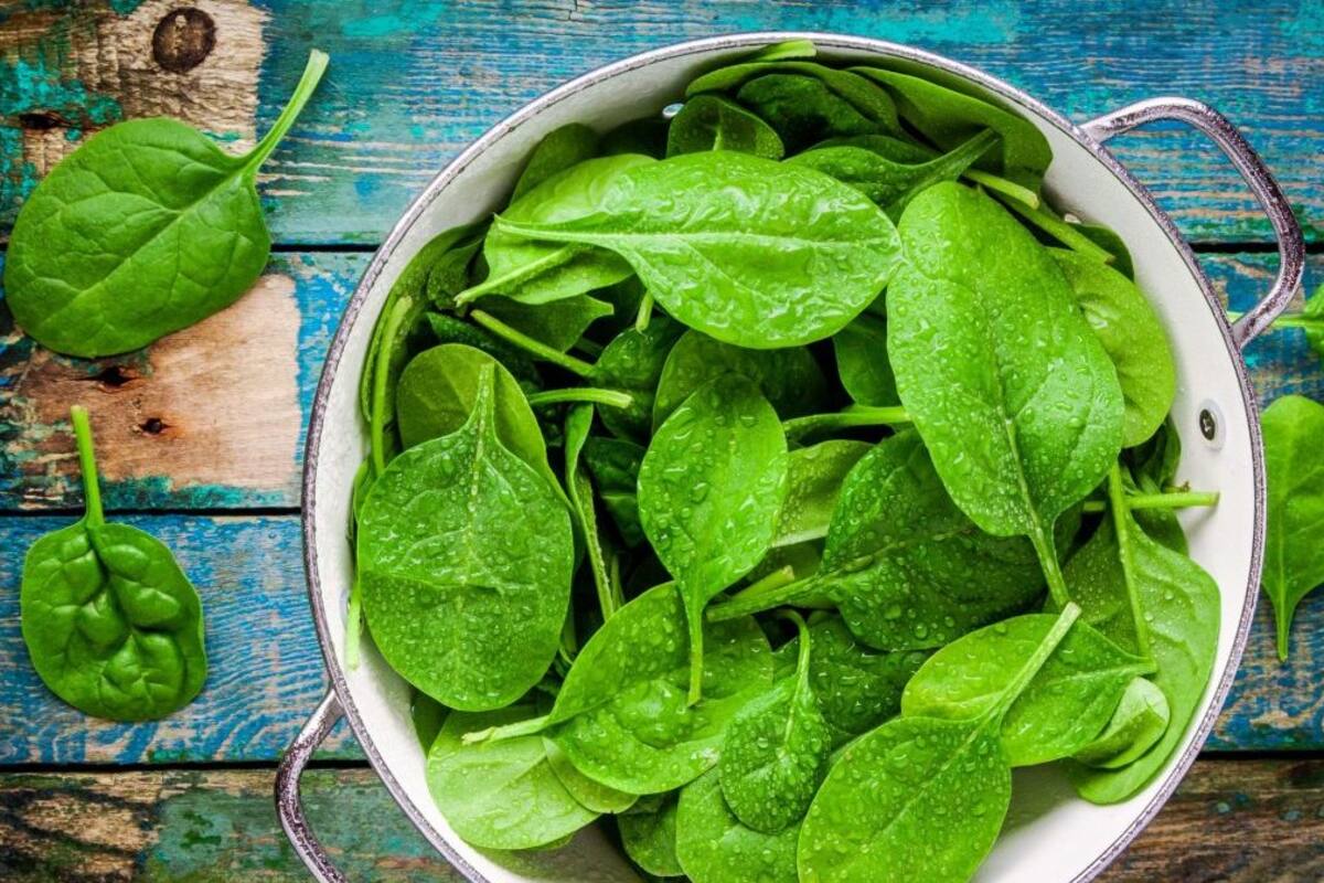 De gran valor nutricional, las espinacas se vuelven deliciosas preparaciones para todo tipo de situaciones.