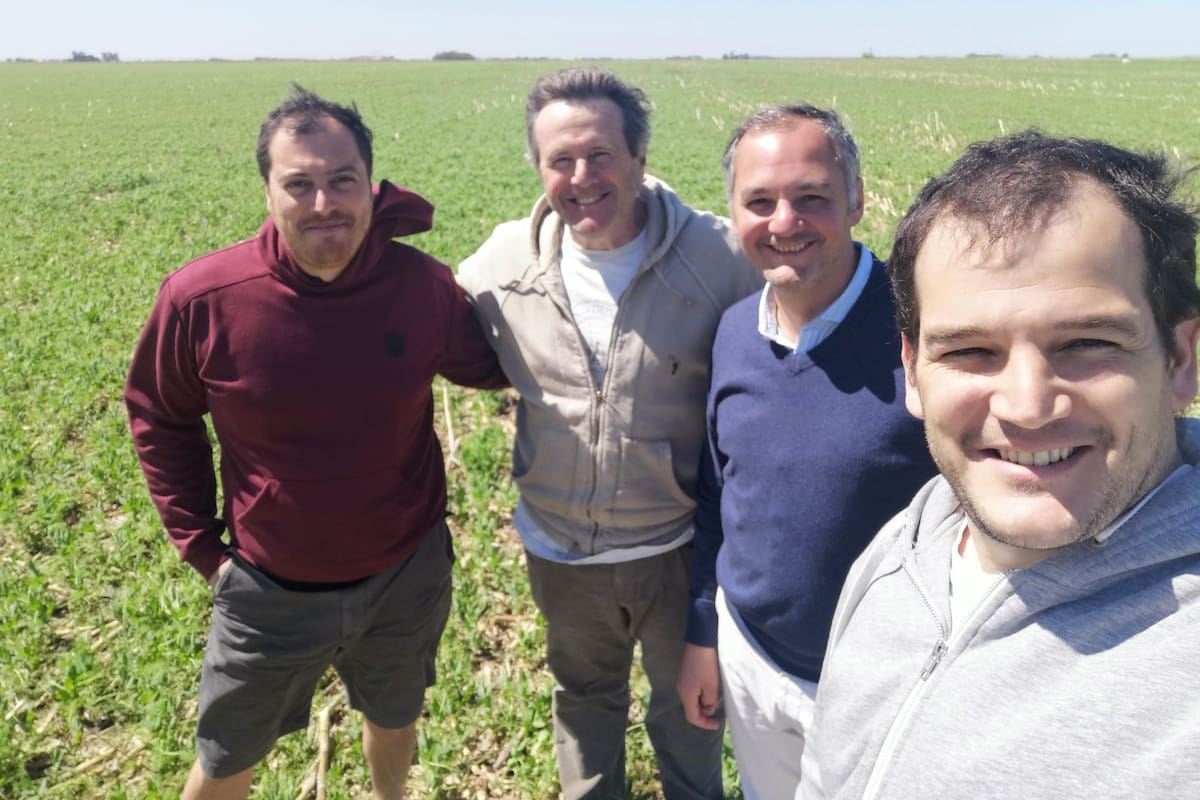 De izq. a der. Guillermo Lentini, Cesar Belloso, Gonzalo Segovia y Agustín Belloso, de Tomorrow Foods