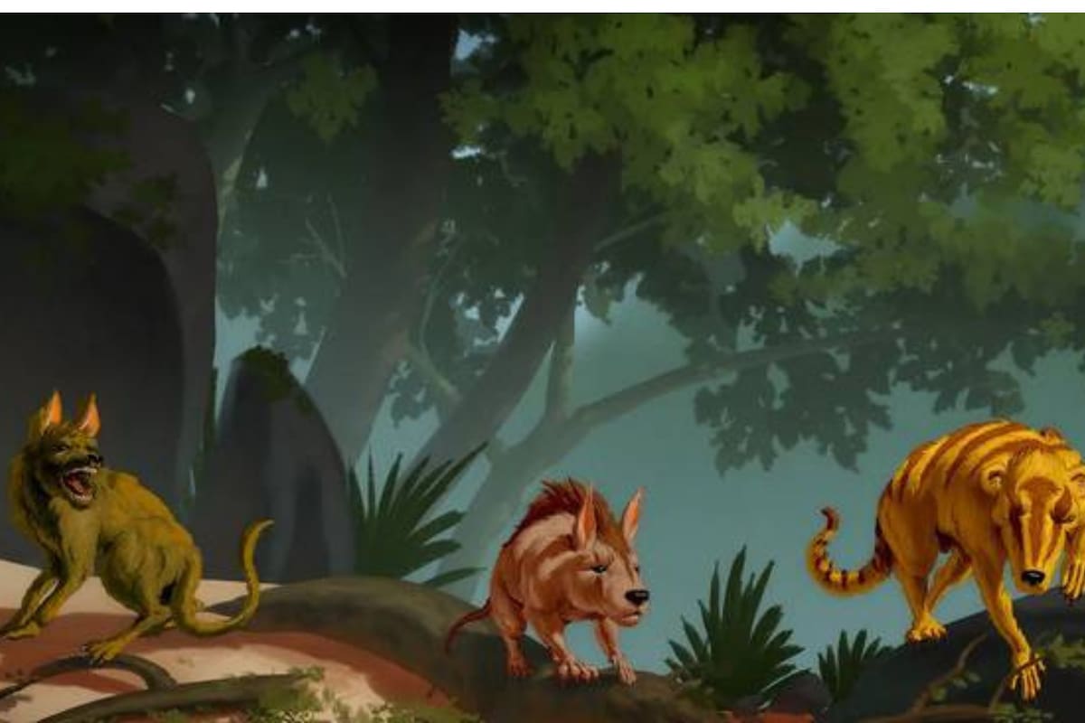 De izquierda a derecha, Conacodon hettingeri, Miniconus jeanninae, Beornus honeyi