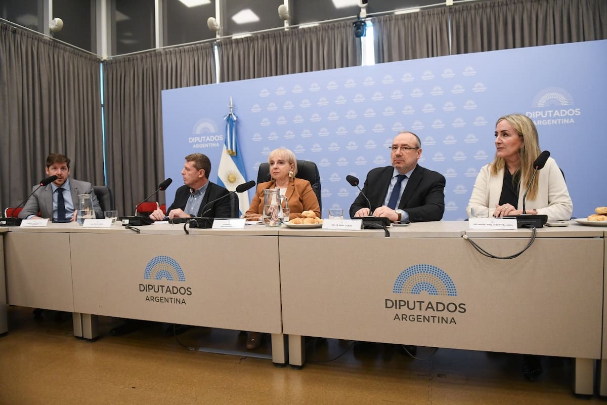 De izquierda a derecha, Tomás G. Castagnino -Economista Jefe y Director Ejecutivo de Accenture Research-, Gastón Roitberg -Secretario de Redacción de LA NACION e integrante del equipo IA Lab-, la diputada nacional Silvana Giudici, el rabino Dr. Fishel Szlajen -experto en bioética de la UBA-, y María Isabel Iñigo Petralanda -abogada bioeticista de la UCA-. Falta Gonzalo Zarza -Chief Data Officer en Globant- que expuso por videoconferencia