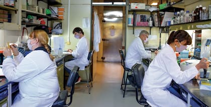 De izquierda a derecha: Verónica López, Felipe Nuñez, Eduardo Cafferata y Sabrina Vinzón en el Instituto Leloir.