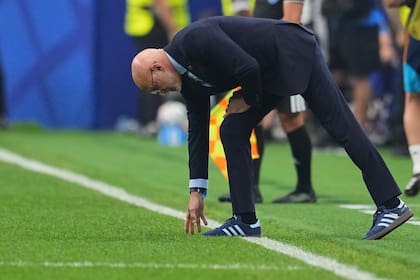 De la Fuente toca el césped y su equipo acaricia la gloria (AP Photo/Julio Cortez)