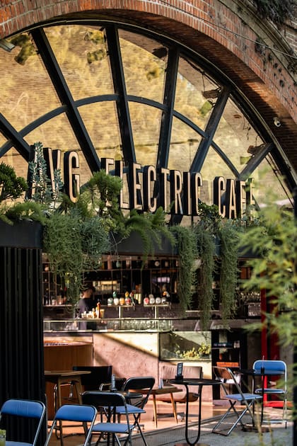 De la mañana a la noche, Electric Café es un gran café para juntarse con amigos