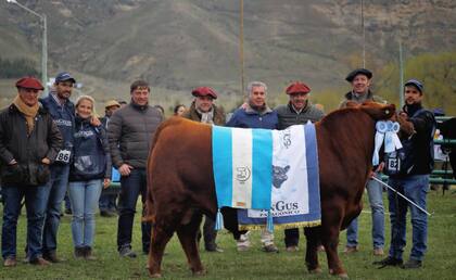 De la mano de cabañas patagónicas, los Orazi llevaron su genética al sur argentino