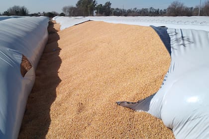 De los 120 silobolsas del lugar fueron vandalizados seis